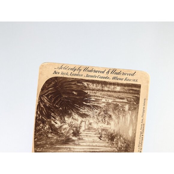 Antique Stereoview card of "the beautiful entrance to a Filipino cottage in - Picture 7 of 8